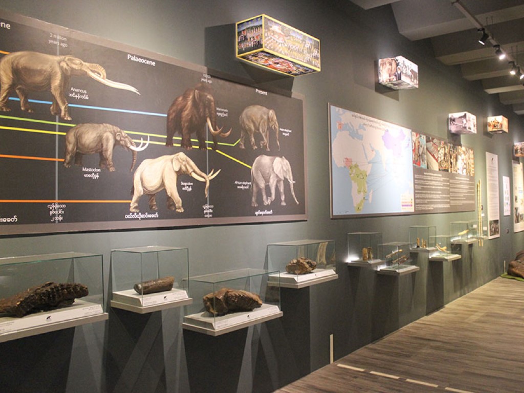 Elephant Museum