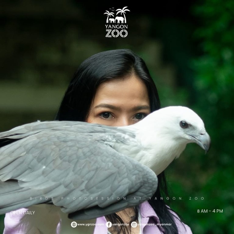 Taking Photos with Birds
